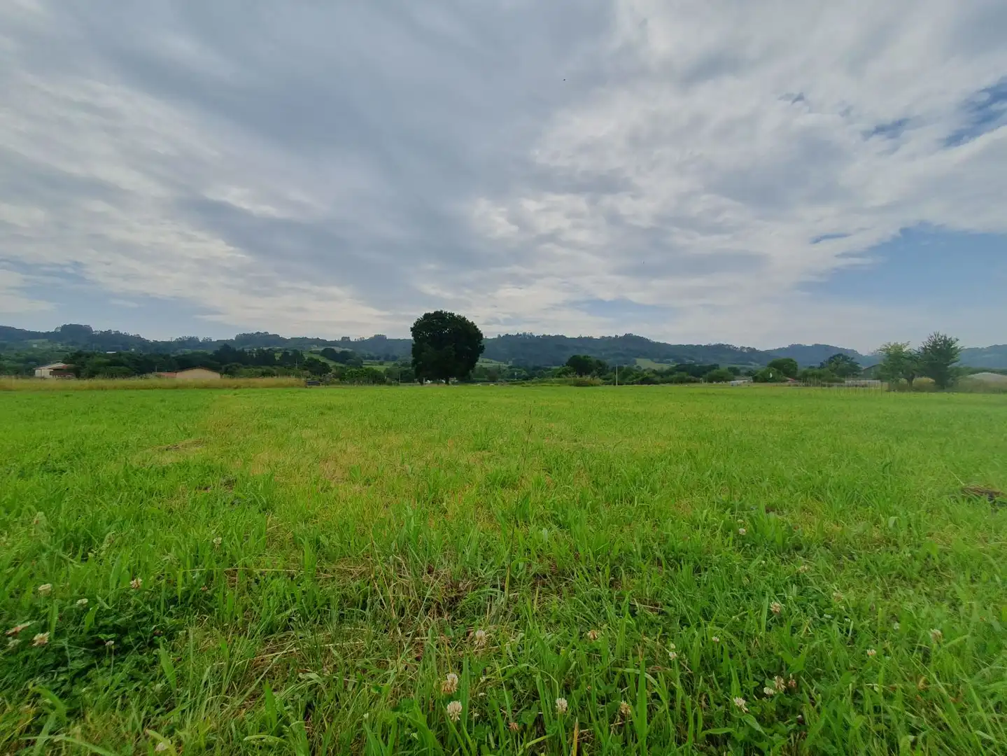 Country homes for sale in San Martín de Oscos
