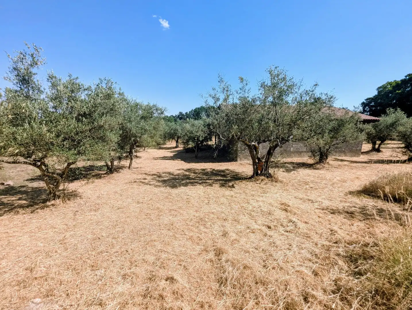 Maison à vendre à Villanueva de la Vera, imagen 70
