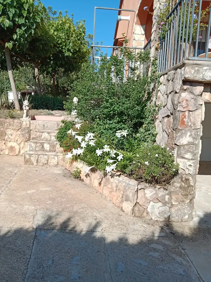 Jardín de Casa o chalet en venta en Navarrés con Terraza y Trastero