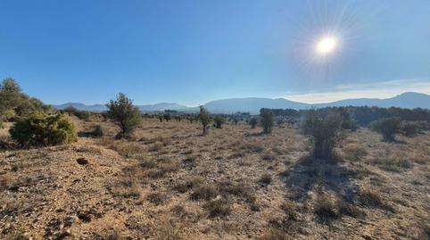 Foto 4 de Residencial en venta en Partida la Solana, San Francisco, Alicante