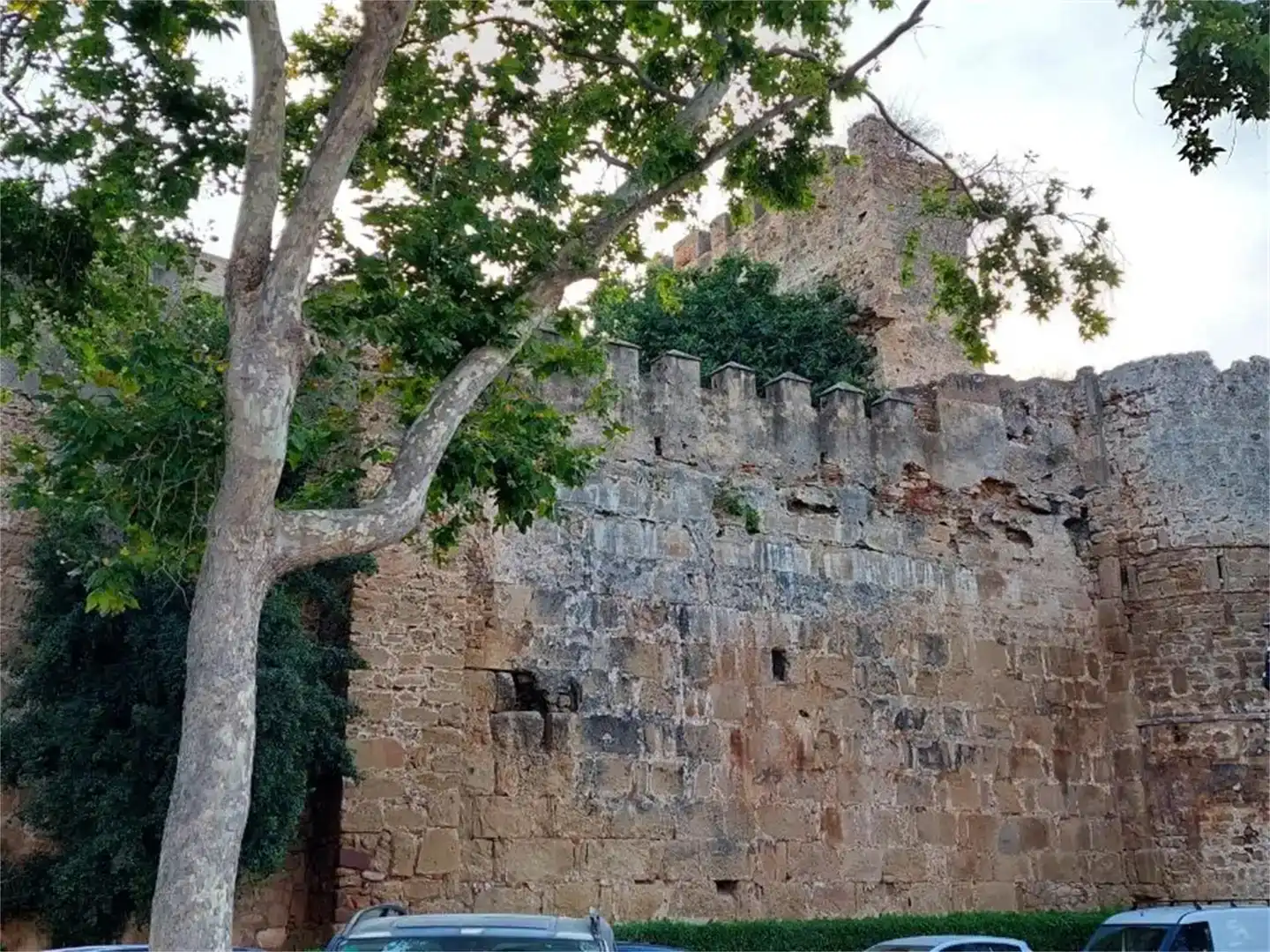 Vista exterior de Terreno en venta en Marbella