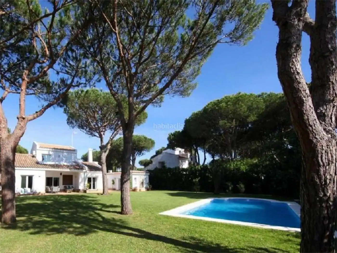 House with pool to rent in Avenida América 37, imagen 2