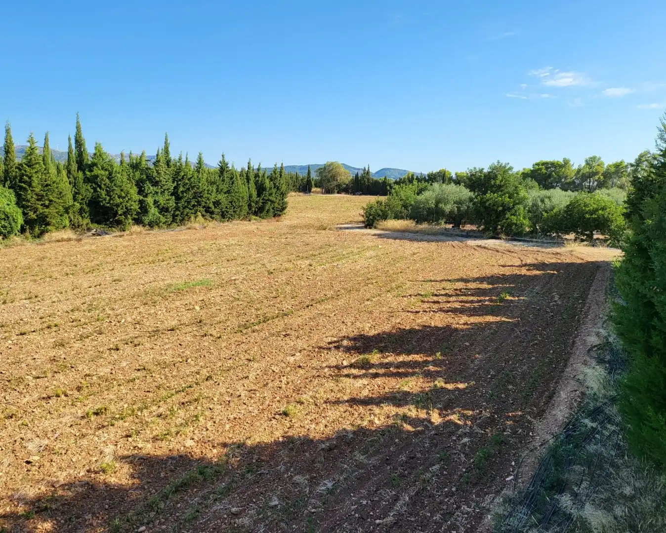Casa rústica con jardín en venta en Camarles, imagen 57