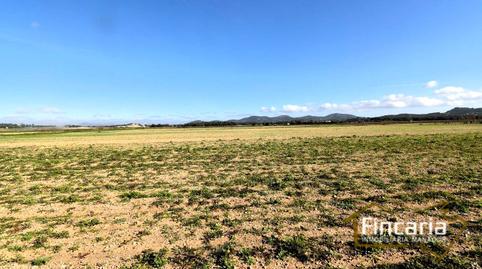 Photo 4 of Residential for sale in Camí de Son Nadal, Felanitx Poble, Illes Balears