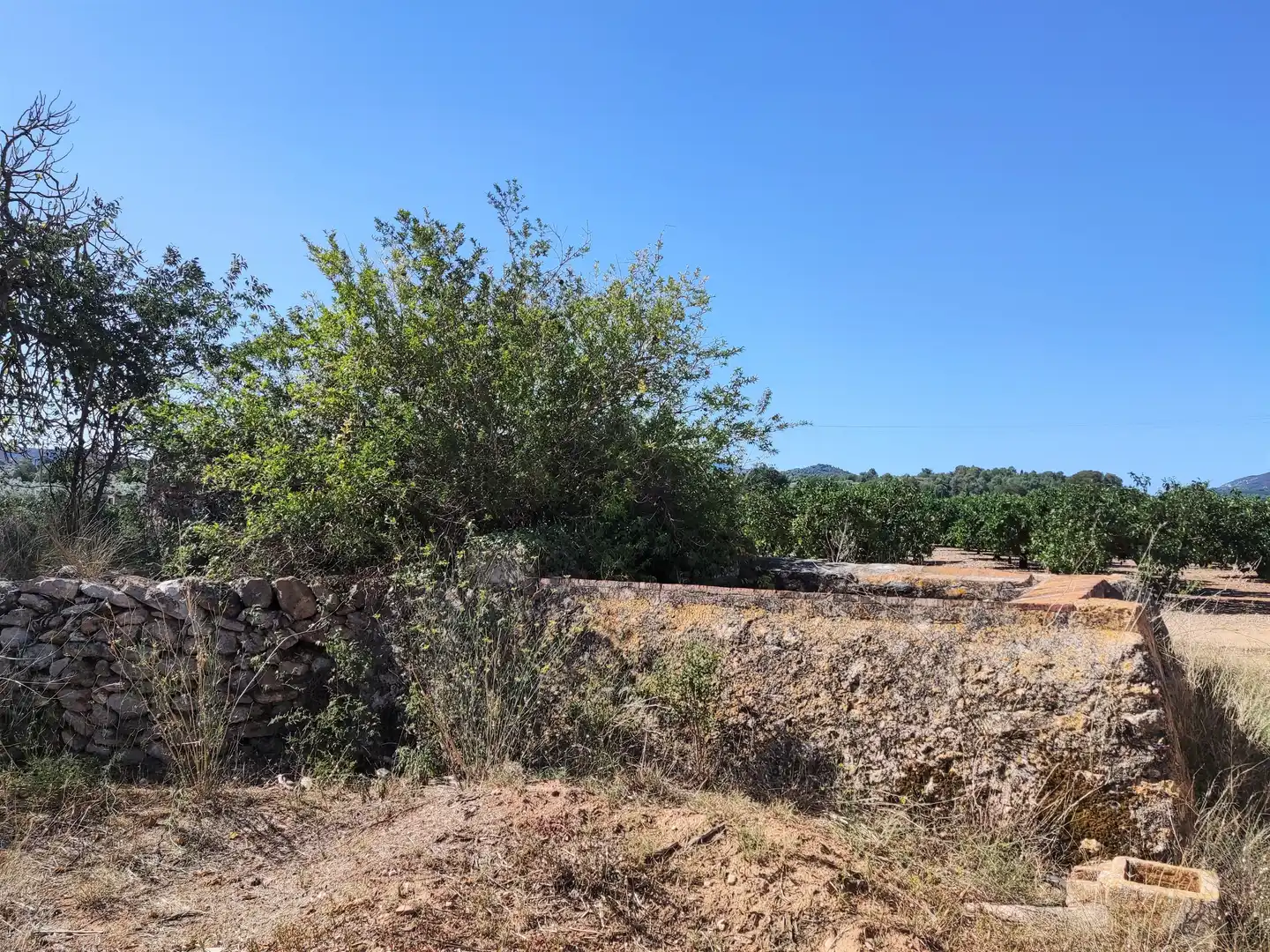 Rural land for sale in Carretera d'Amposta, imagen 21