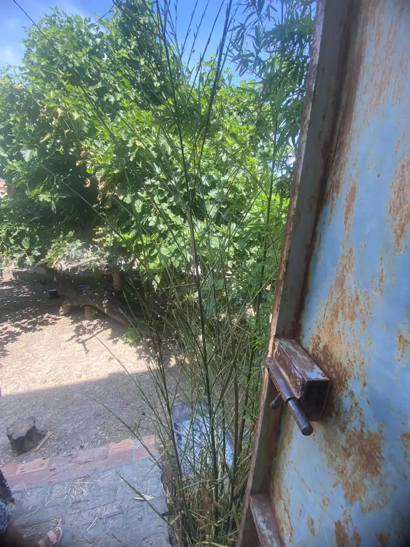 Garden of Houses for sale in Pego