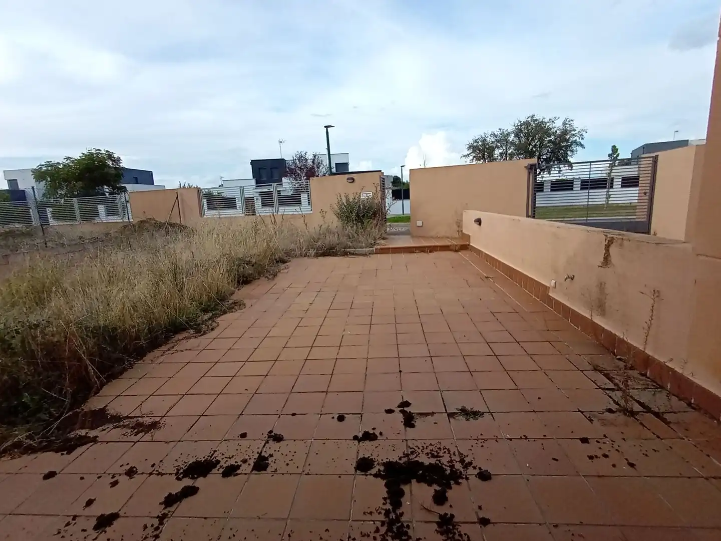 Maison avec jardin à vendre à Manuel herrera, imagen 40
