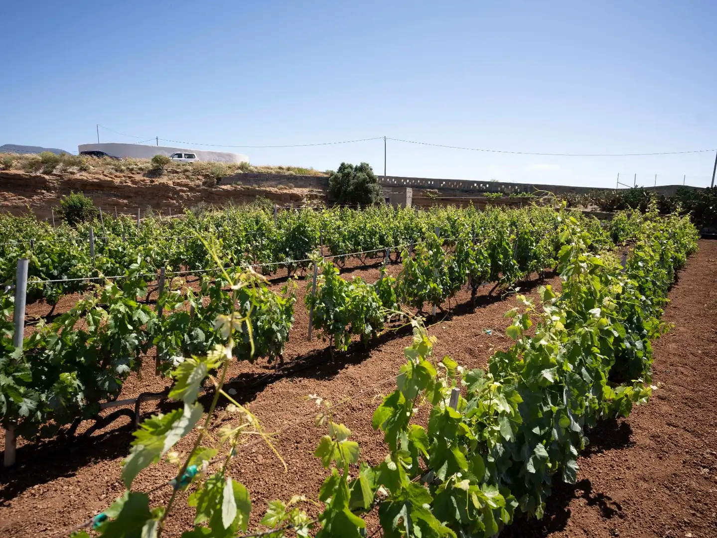Terreno rustico in vendita a N/A, imagen 19