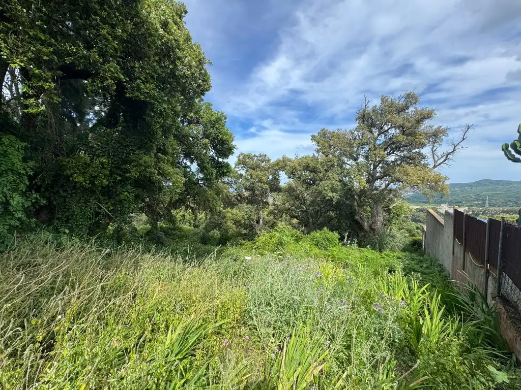 Terreno en venta en Algeciras