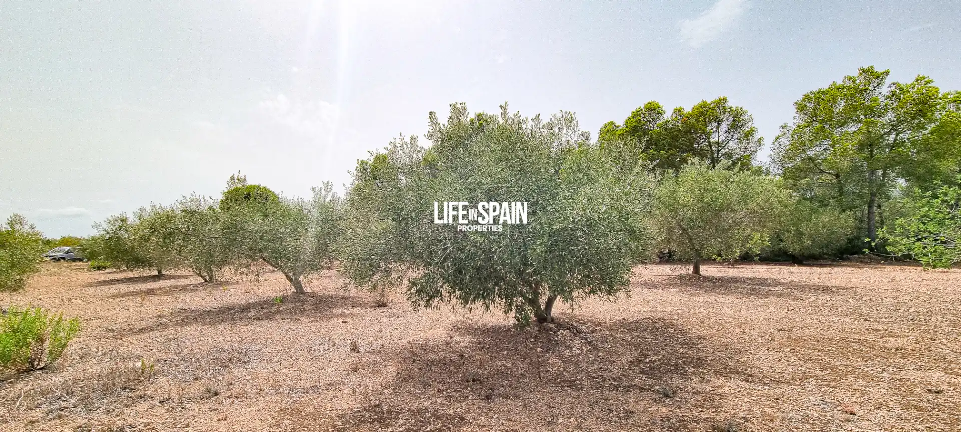 Casa rústica con jardín en venta en L'Ampolla, imagen 12