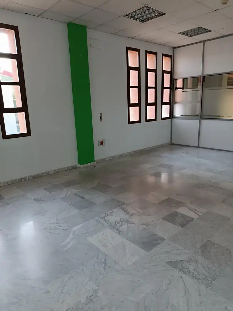 Büro zur Miete in Jerez norte - Montealto - Pozoalbero, imagen 22