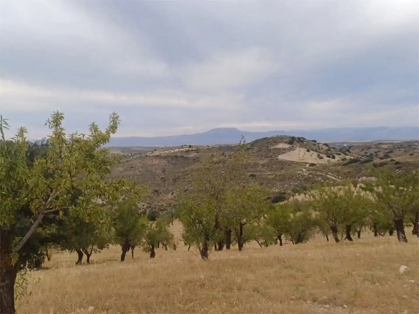 Piso en venta en Cacín