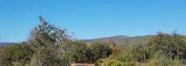 Terreno en Venta en Benicolet