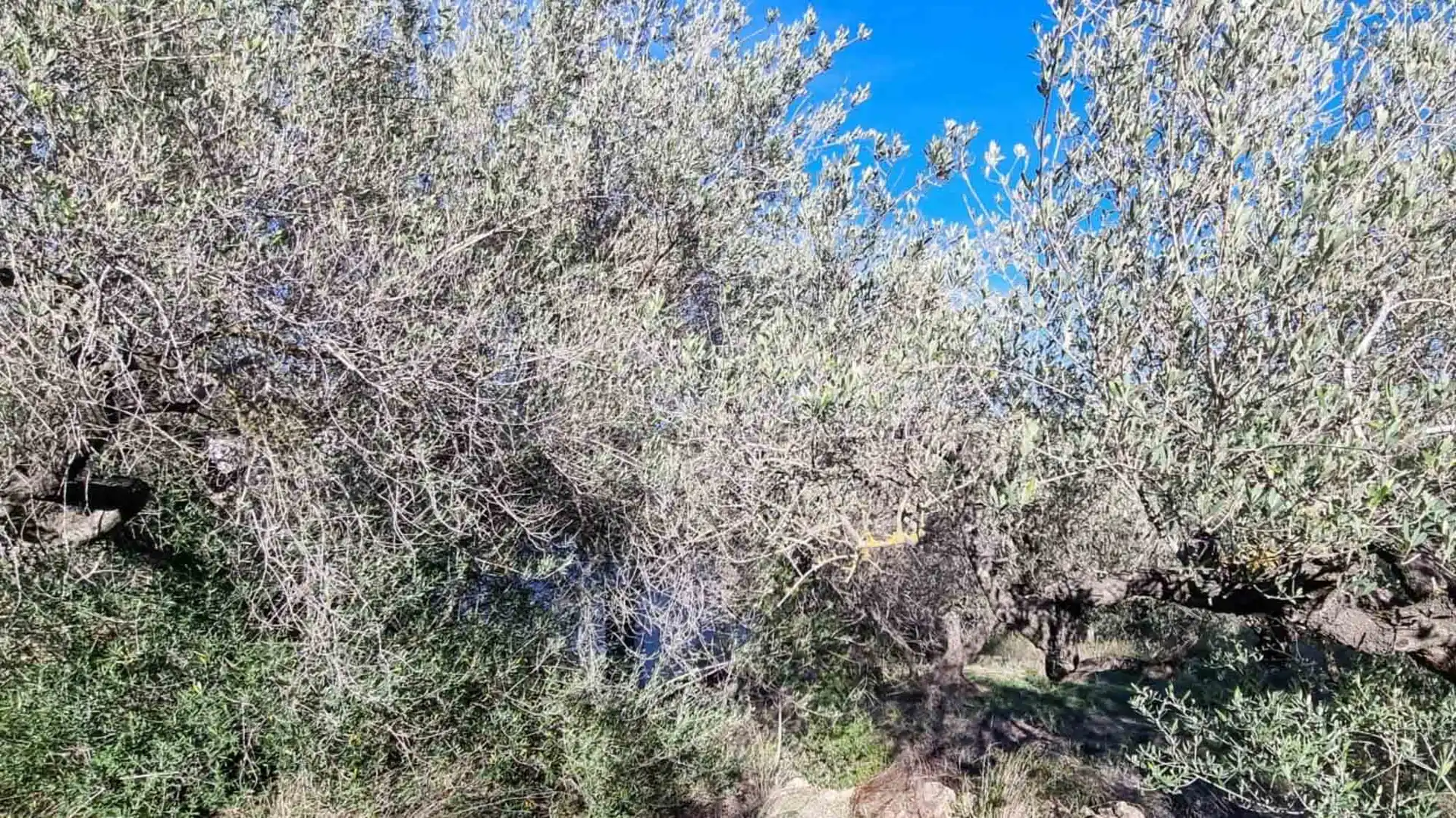 Casa rústica con piscina en venta en El Perelló, imagen 67