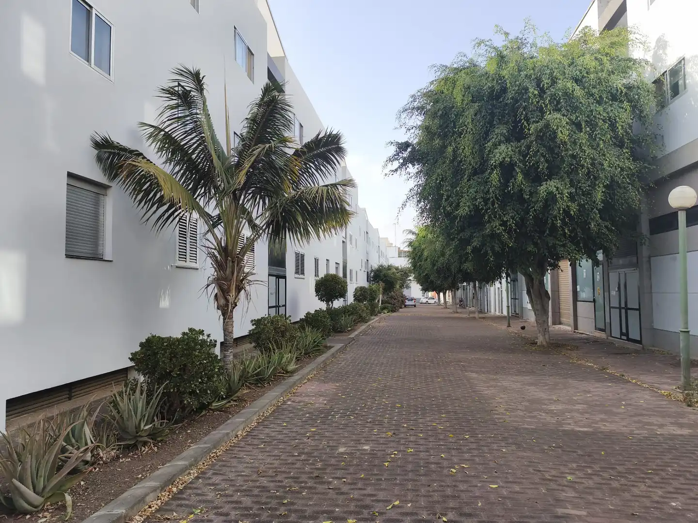 Vista exterior de Pis en venda en Tamaraceite - San Lorenzo - Tenoya