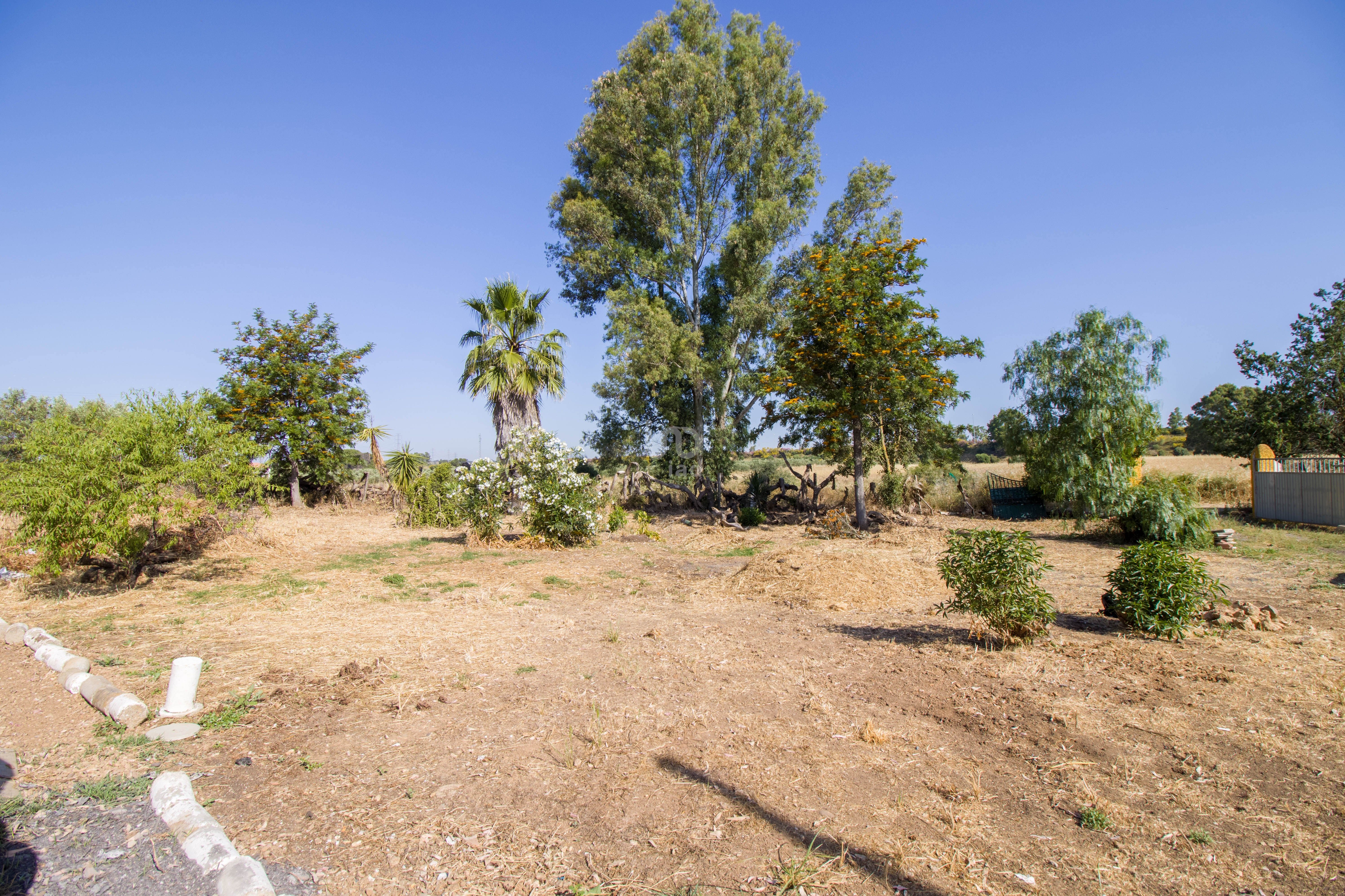 Casa o chalet en venta en Gibraleón con Calefacción, Terraza y Piscina