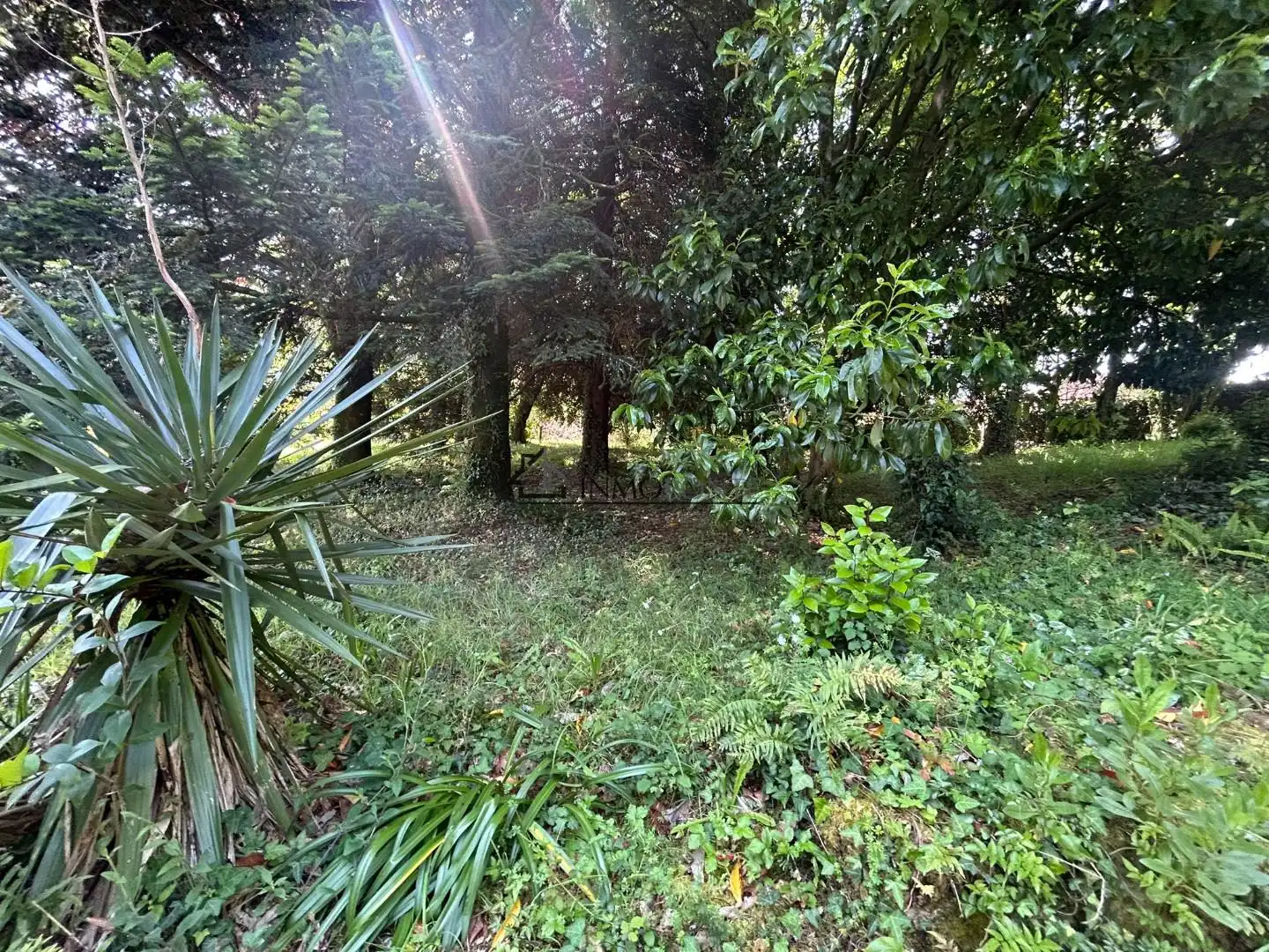 Casa o chalet en venta en Ponteareas con Jardín privado y Terraza
