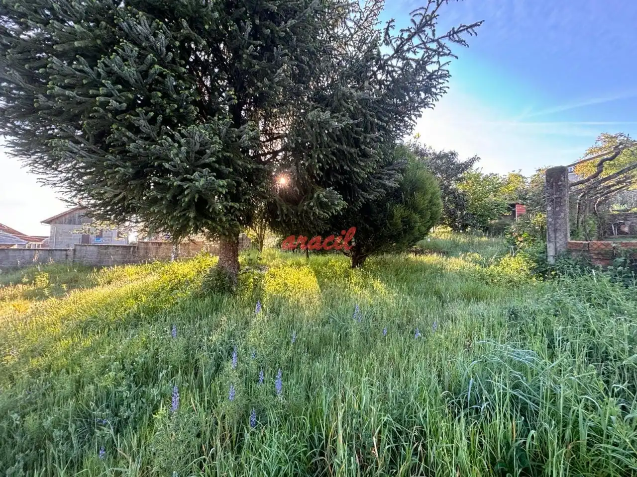 Terreny residencial en venda a San Cibrao das Viñas, imagen 4
