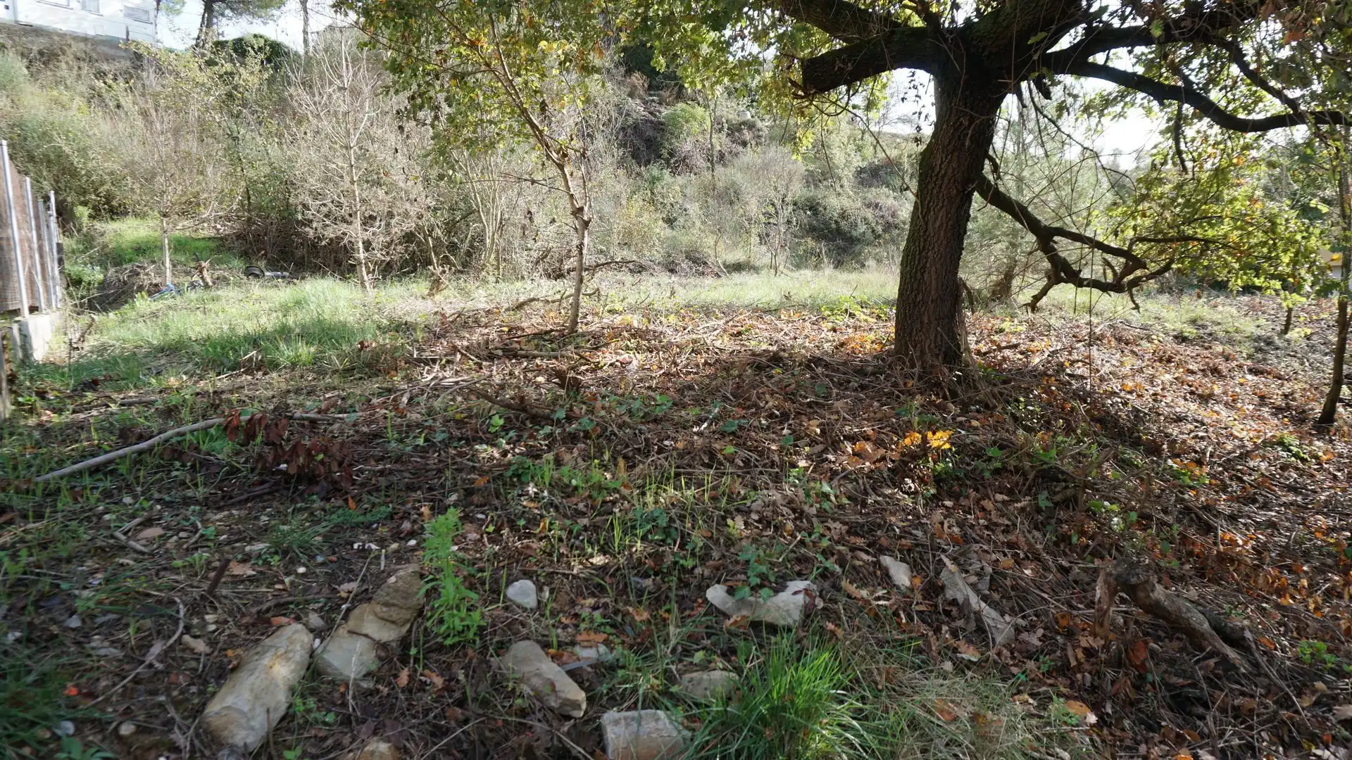 Grundstücke und Bauplätze zum Verkauf in Lluis Companys, imagen 24