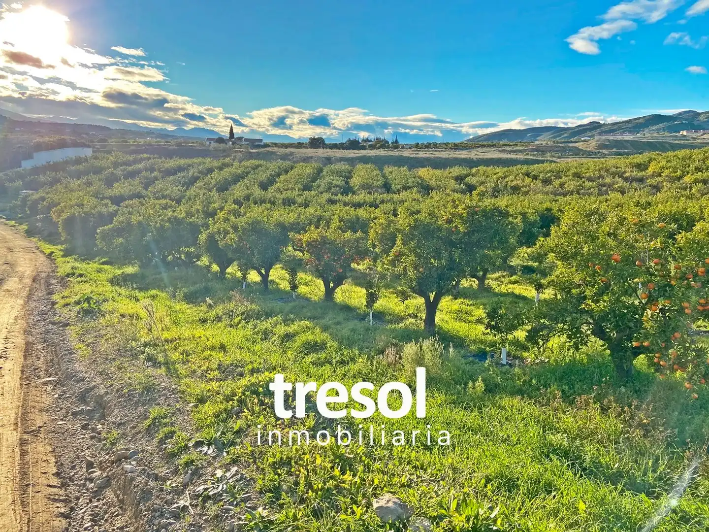 Terreno rustico in vendita a Centro, imagen 2