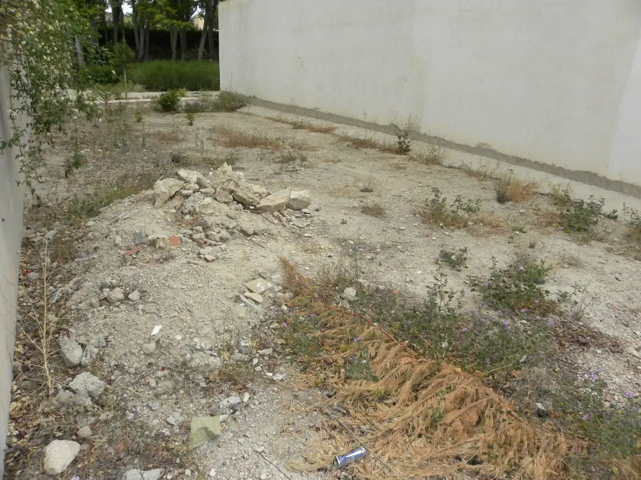 Terreny rústic en venda a Caravaca de la Cruz, imagen 3