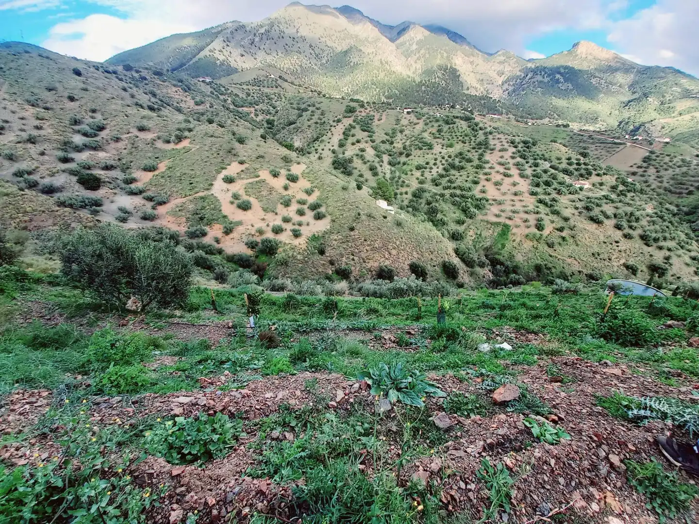 Terrenys i solars en venda a Canillas de Aceituno, imagen 17
