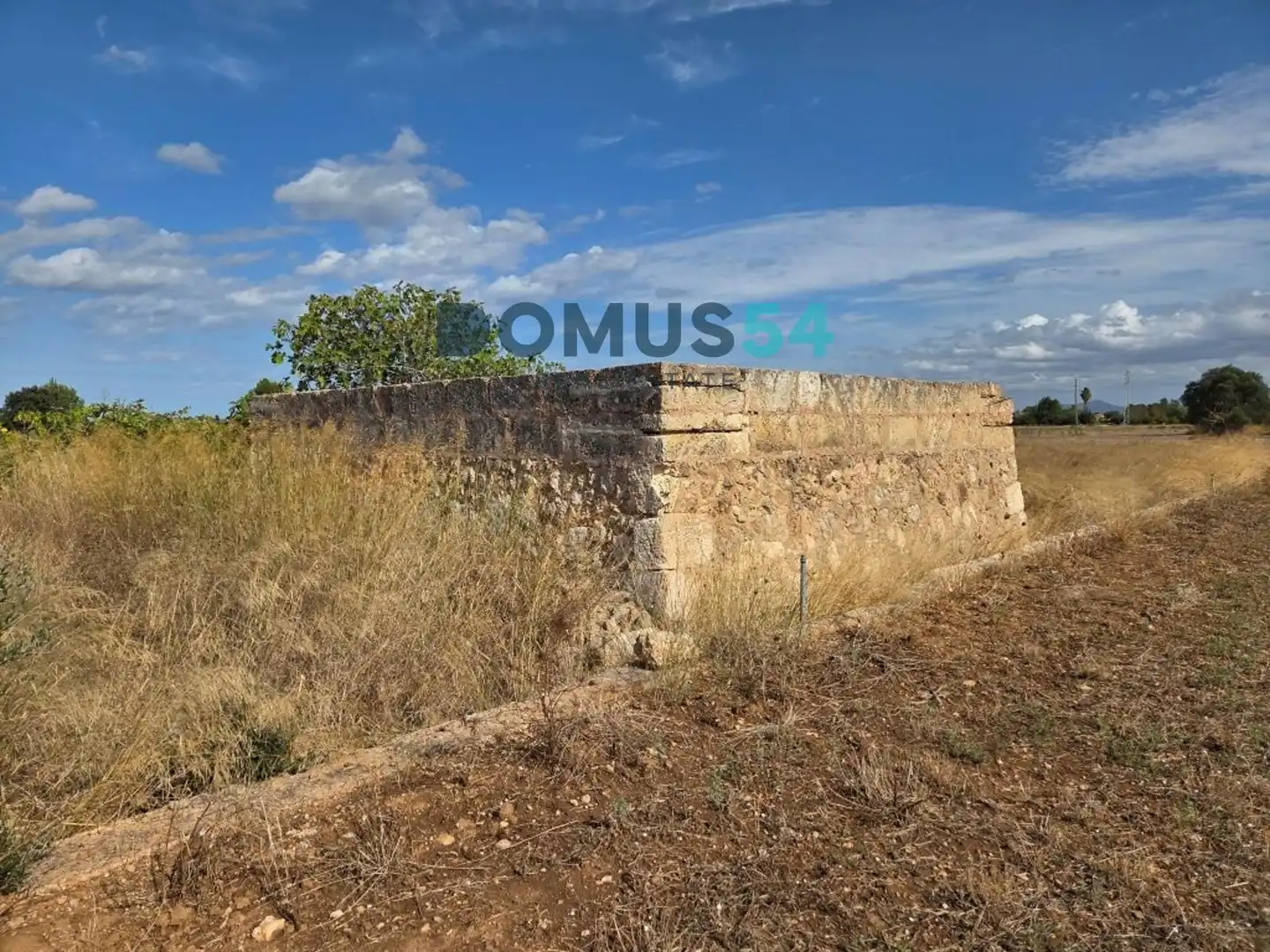 Terreny rústic en venda a Sa Pobla, imagen 4