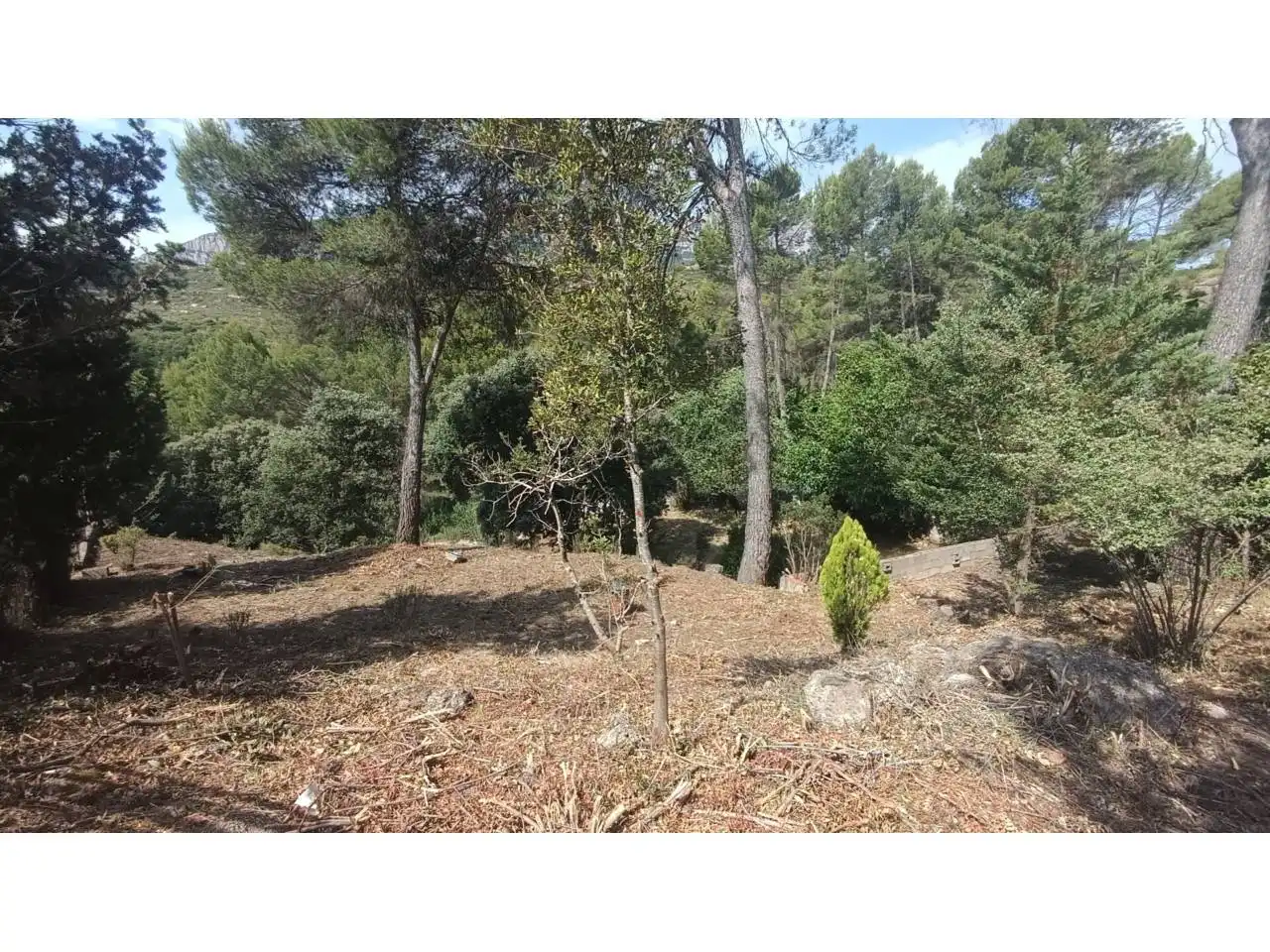 Rural land for sale in Vacarisses, imagen 26