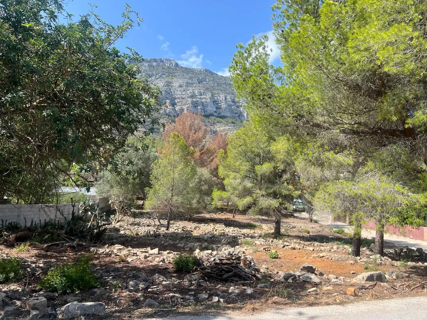 Vista exterior de Residencial en venda en Dénia