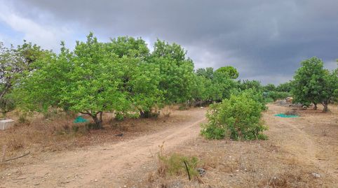 Foto 5 von Country house zum Verkauf in N/a, Vila-seca Poble, Vila-seca