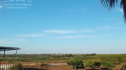 Foto 5 de Finca rústica en venda a Bollullos Par del Condado, Huelva