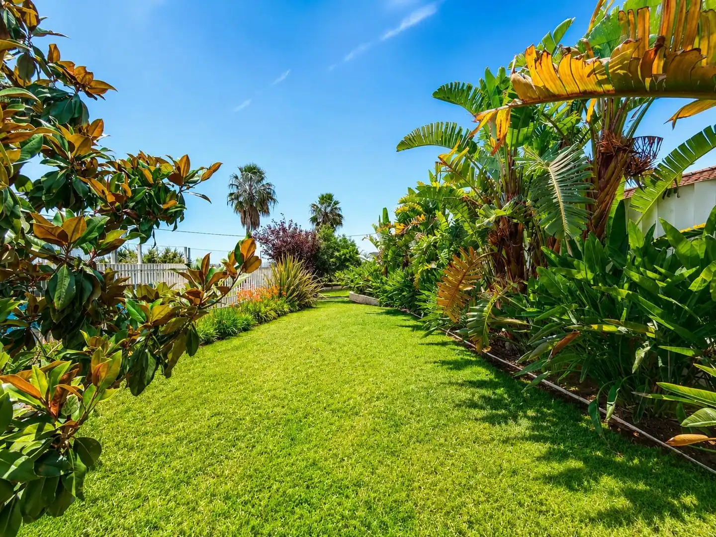 Jardí de Casa o xalet en venda en Carlet amb Aire condicionat, Calefacció i Jardí privat