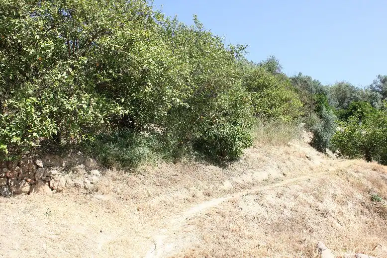 Terreni e lotti in vendita a Andalucía, imagen 20