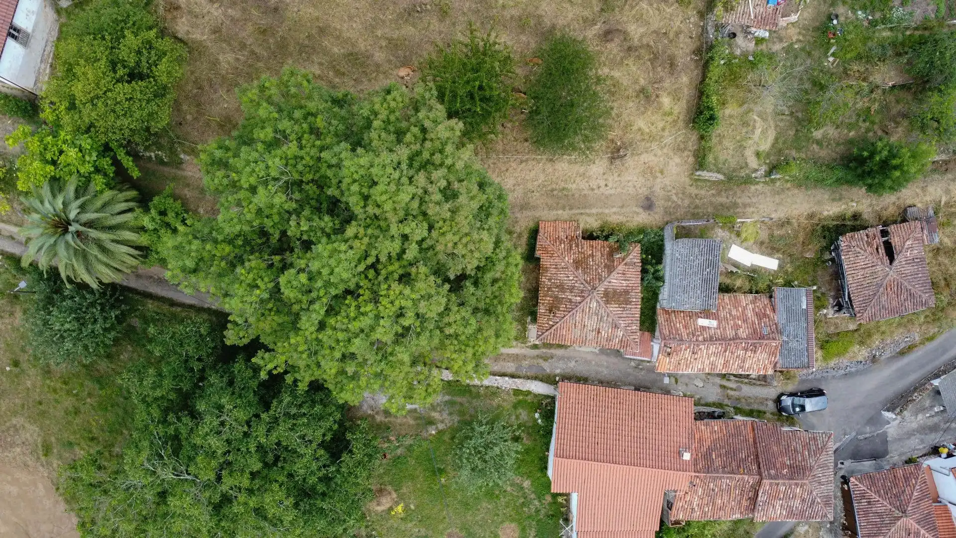 Country house zum Verkauf in Oviedo 