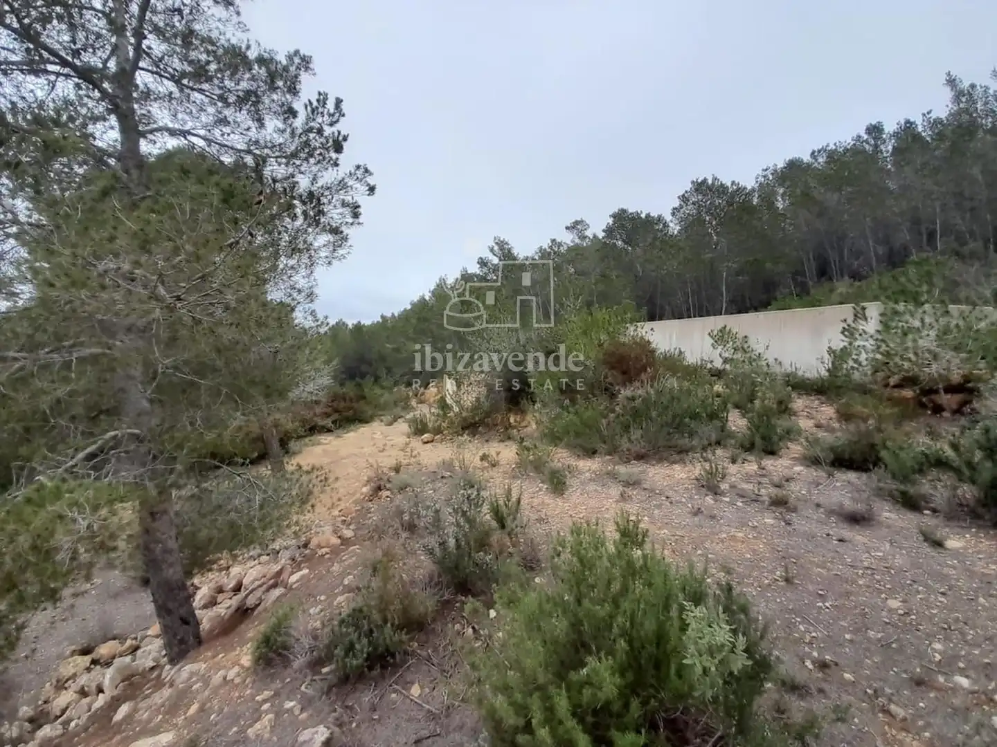 Casa o xalet en venda en Santa Eulària des Riu amb Jardí privat