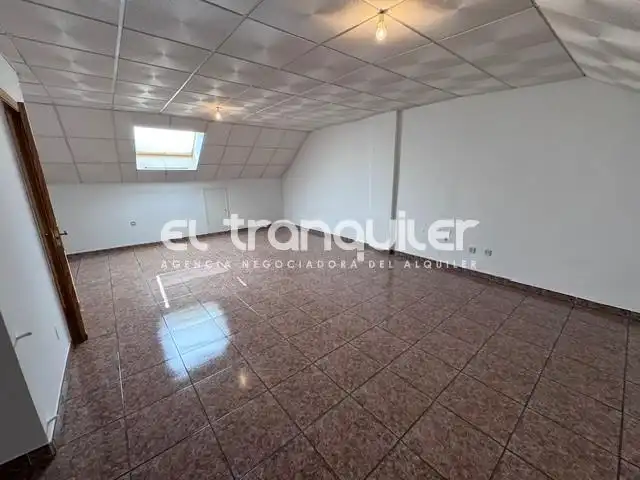 Villa con giardino in affitto a Calle De las hayas, imagen 38