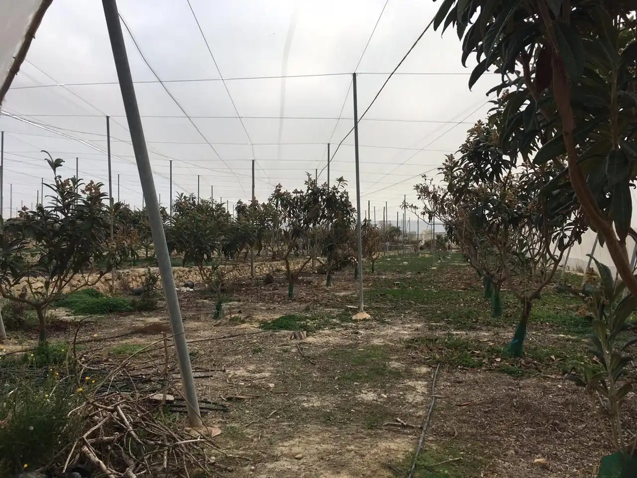 Terreny residencial en venda a El Secanet - Hacienda del Sol, imagen 3