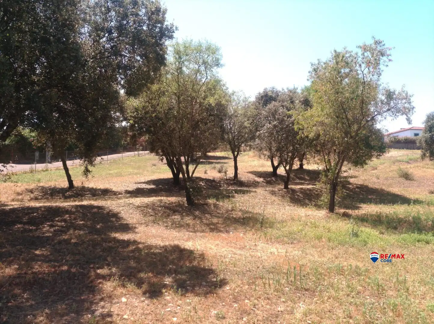 Terreno residencial en venta en Carretera de Sevilla - Los Montitos, imagen 5