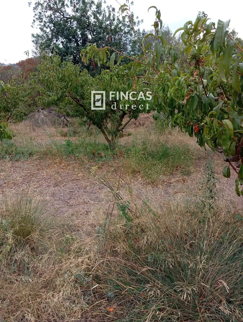 Maison rustique à vendre à XGPG+H5X, imagen 17