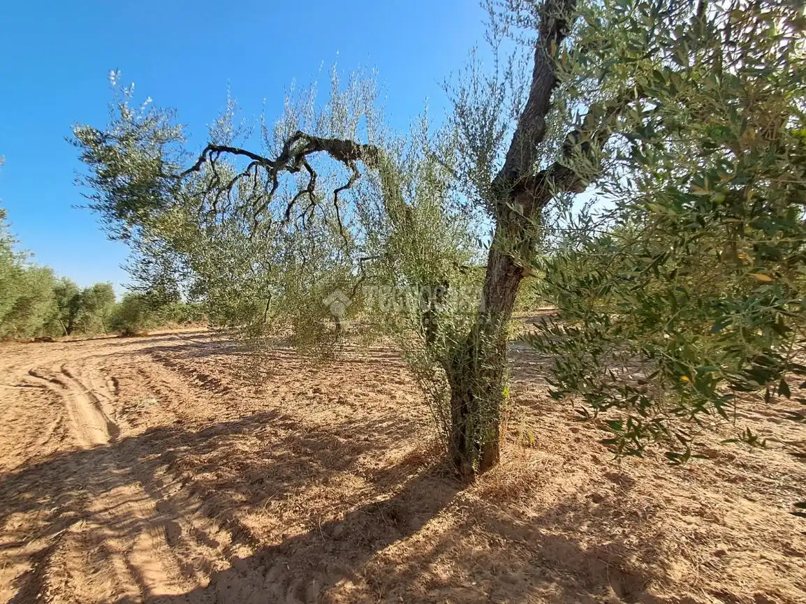 Terreni e lotti in vendita a Pilas, imagen 16