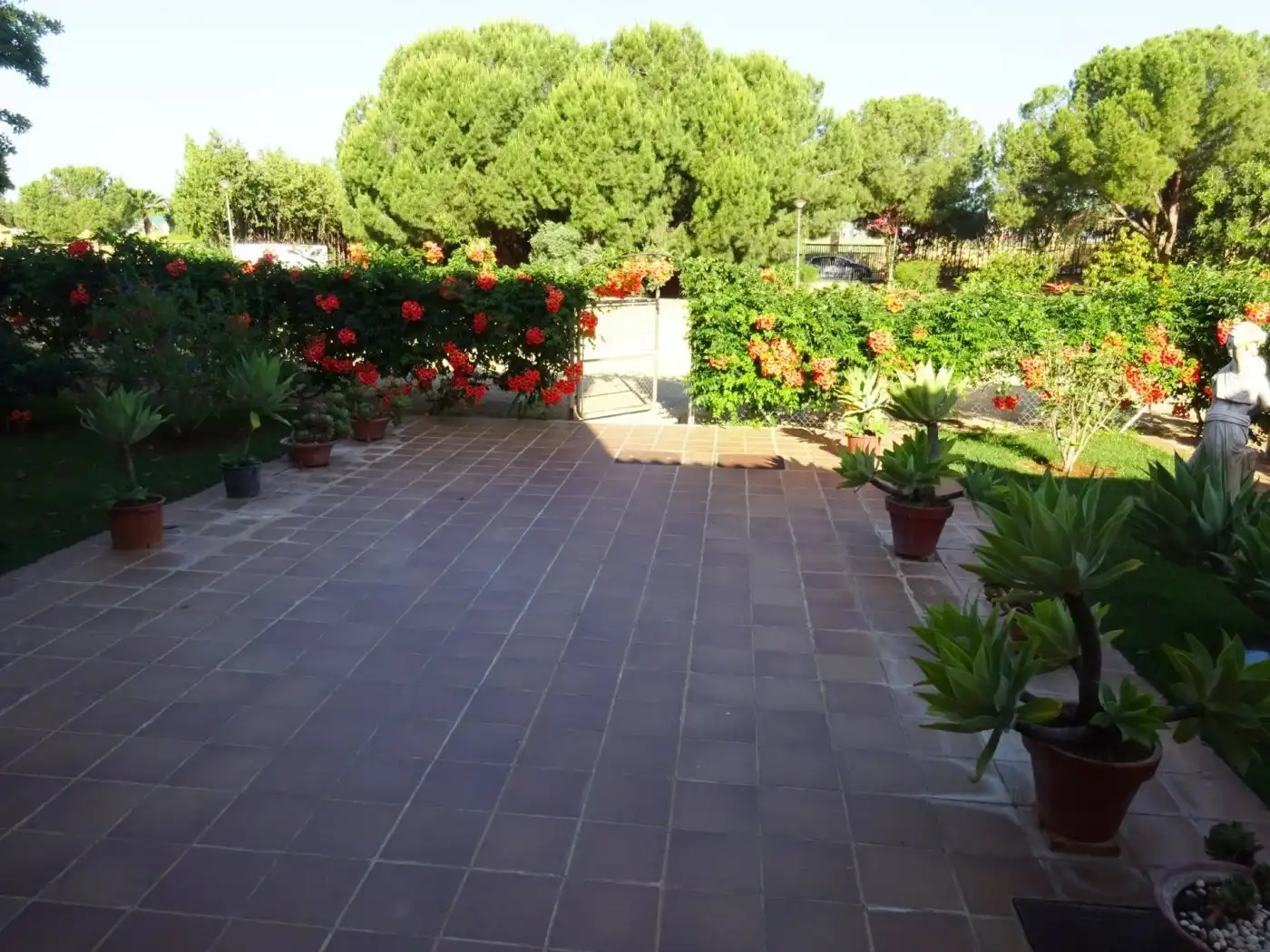 Finca rústica en venda a Mairena del Alcor