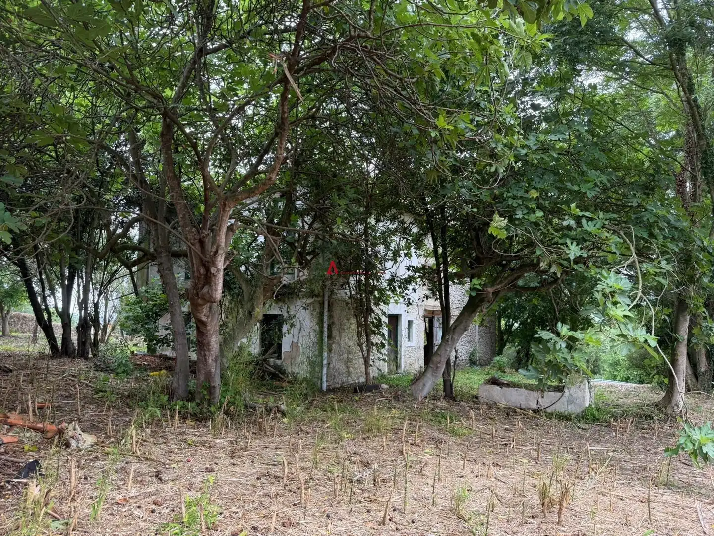 Casa en venda a Ribamontán al Monte, imagen 26