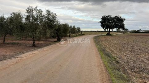Foto 4 von Country house zum Verkauf in Écija, Sevilla