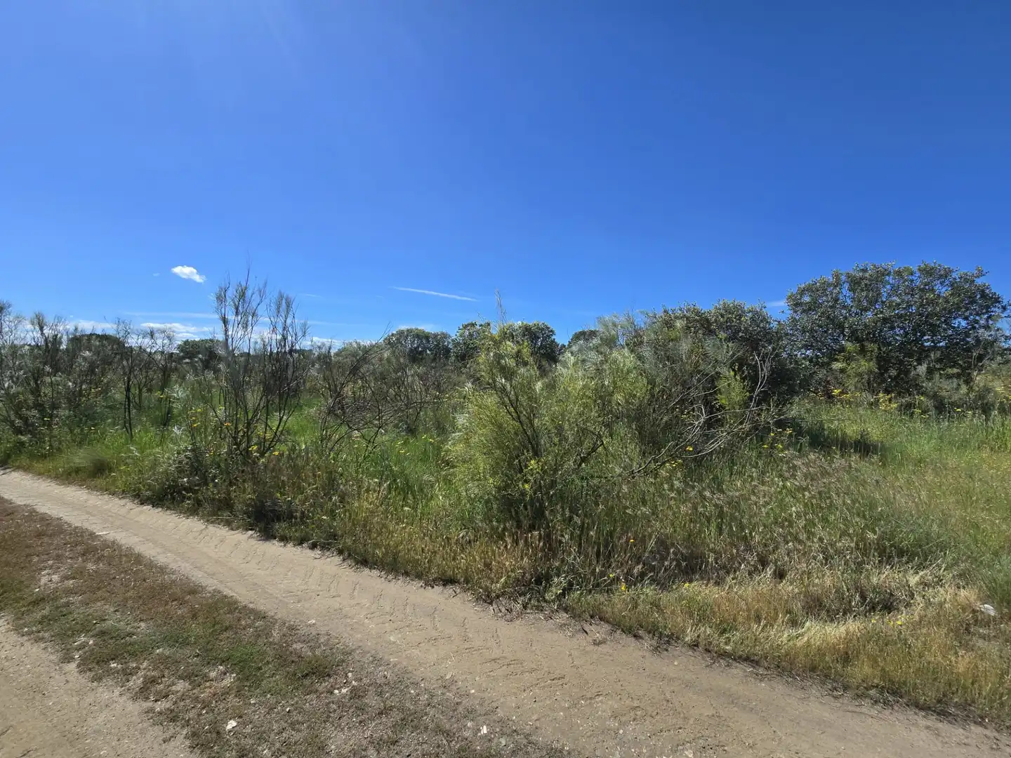 Terreno en venta en Añora