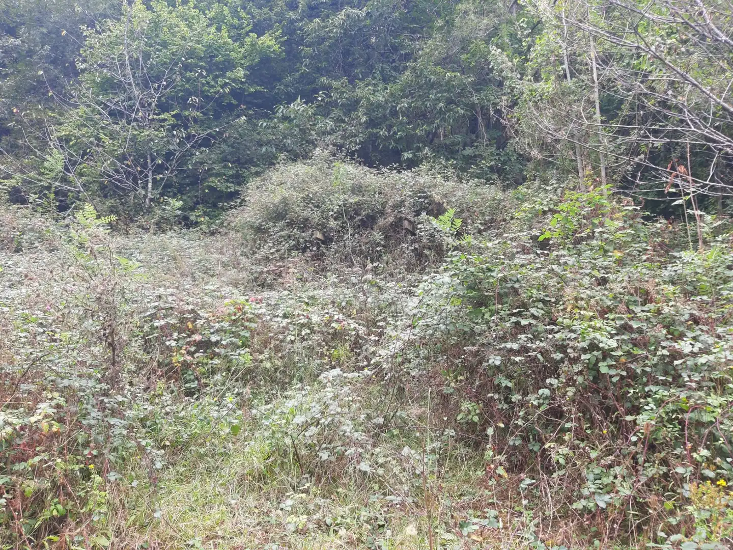 House with garden for sale in Cangas de Onís, imagen 20
