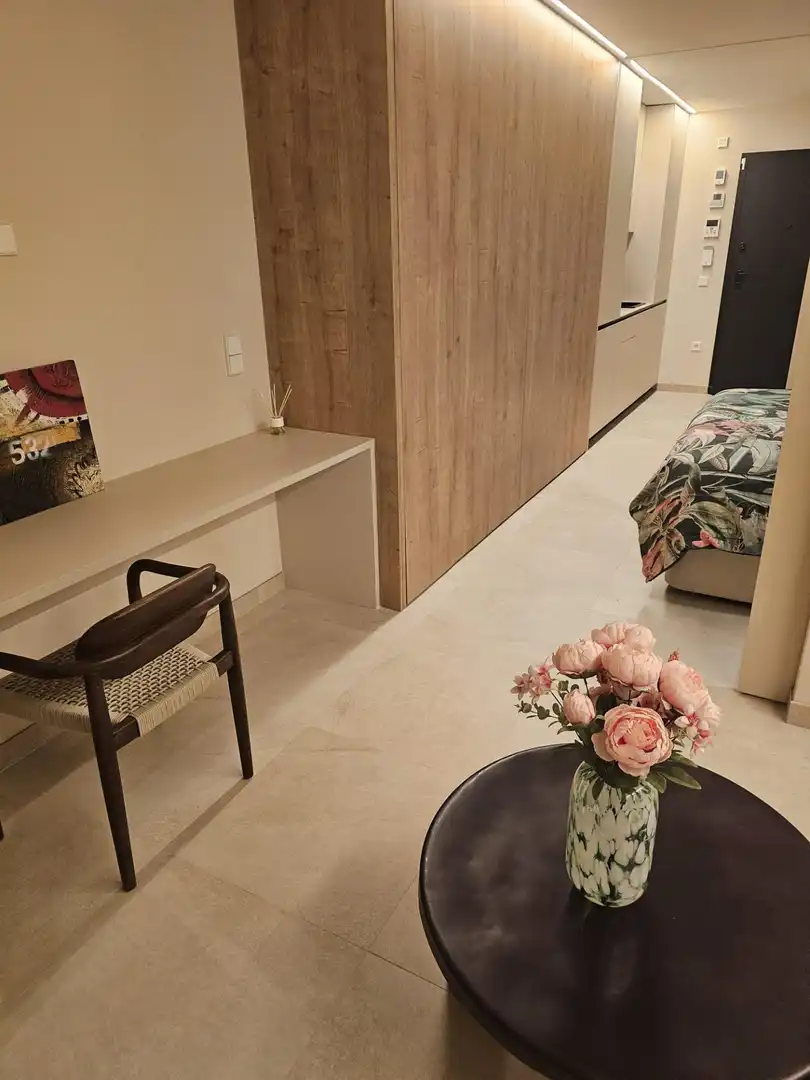 Sala de estar de Estudio de alquiler en Murcia con Aire acondicionado, Calefacción y Terraza