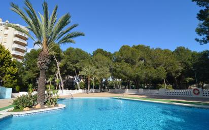 Piscina de Apartament en venda en Orihuela amb Terrassa