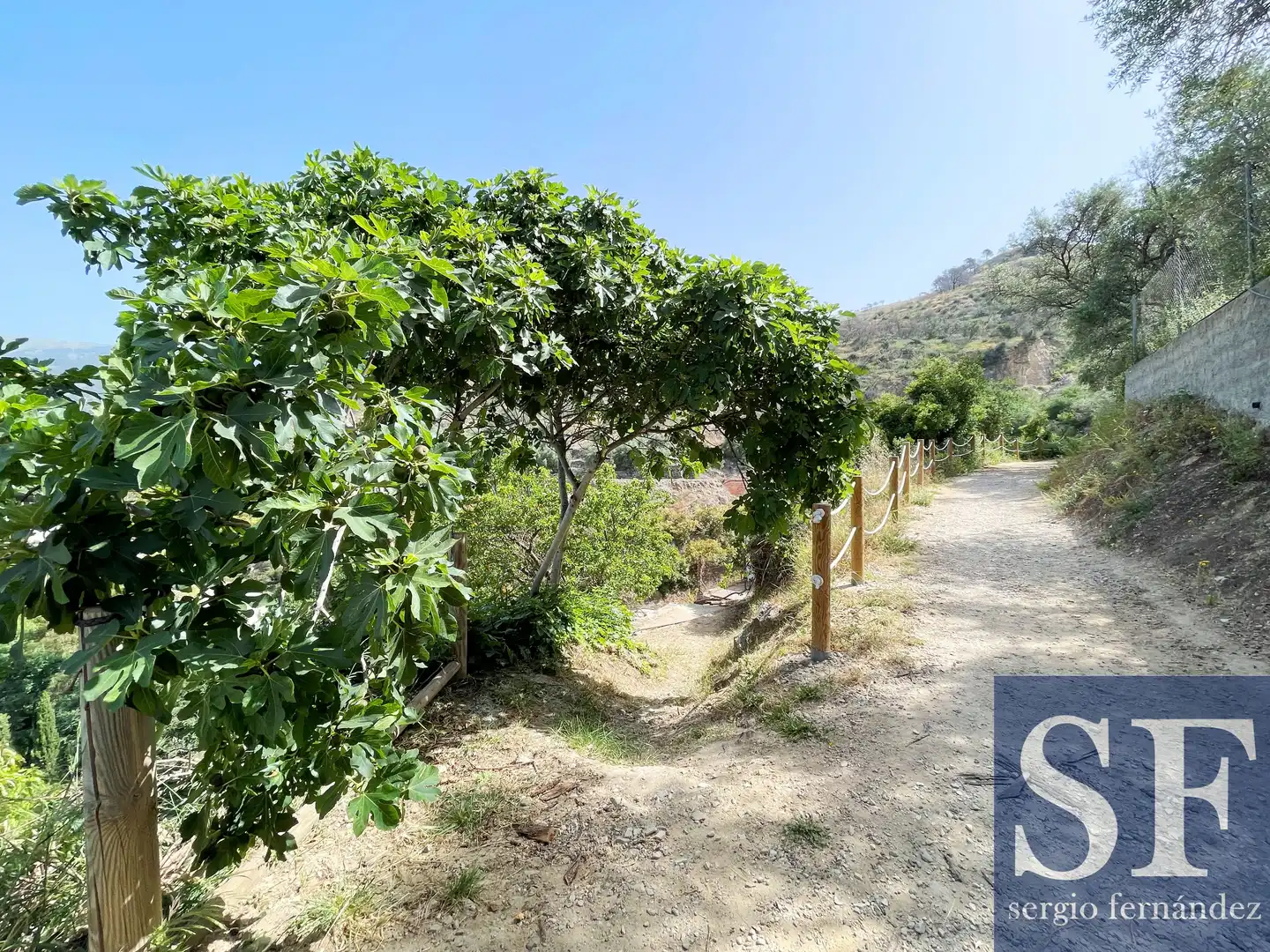 Vista exterior de Finca rústica en venta en Cómpeta