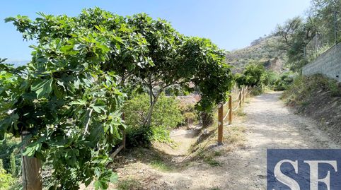 Foto 2 de Finca rústica en venda a Cómpeta, Málaga