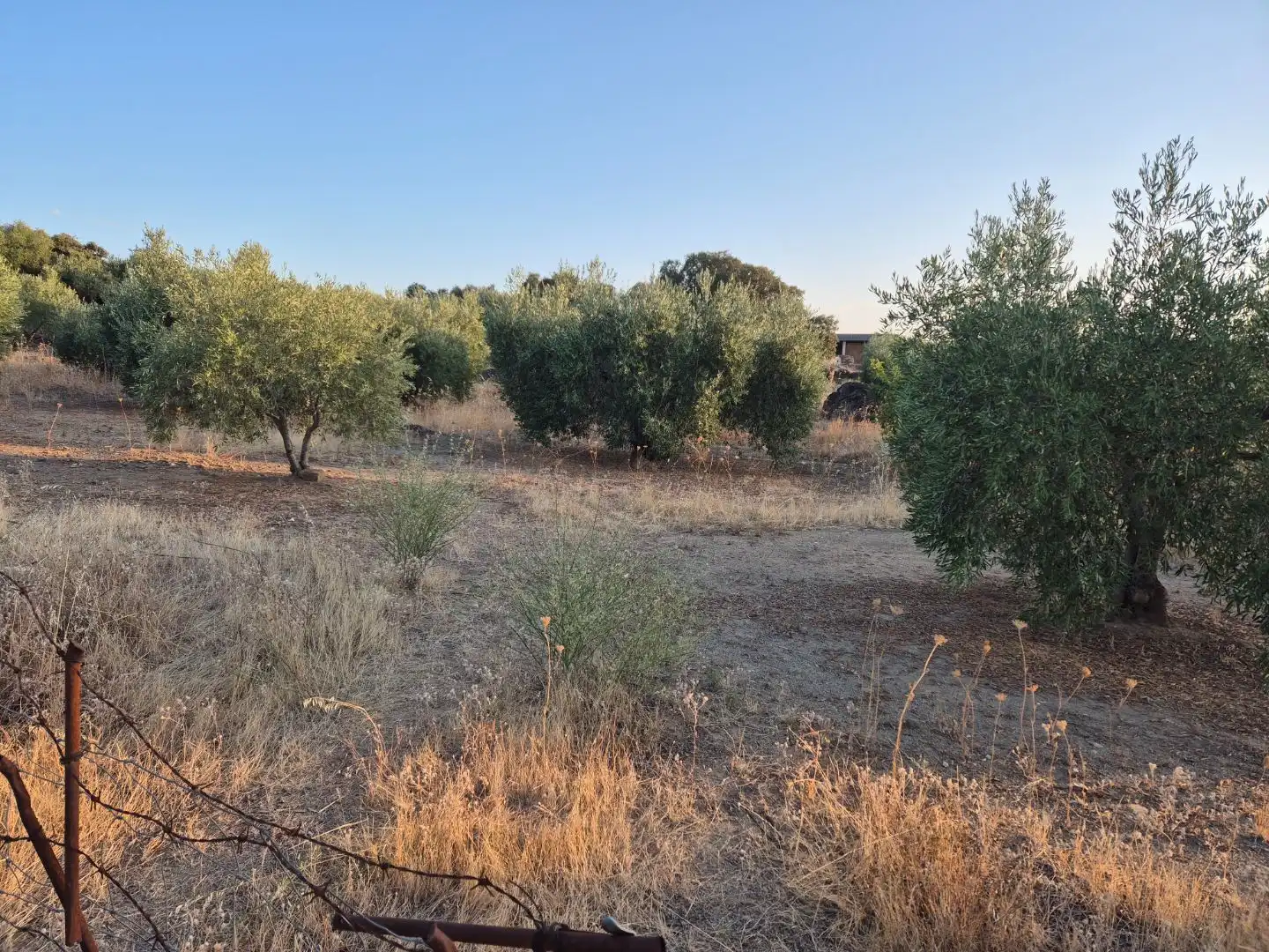 Grundstücke zum Verkauf in Abertura, Cáceres
